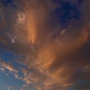 Meet your Posher, Calliope